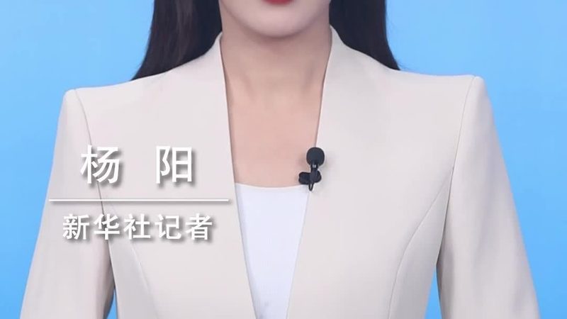 科技服务商业模式分类：构建企业数字化转型蓝图